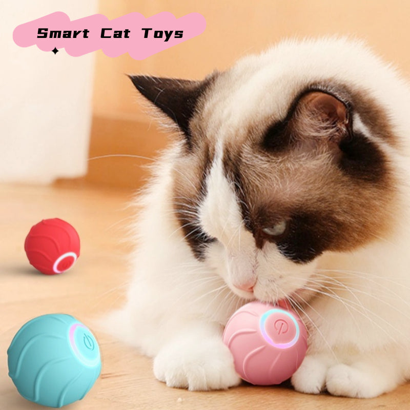 Interactive Rolling Ball for Pets Smart Cat Toy - Essential Picks Emporium